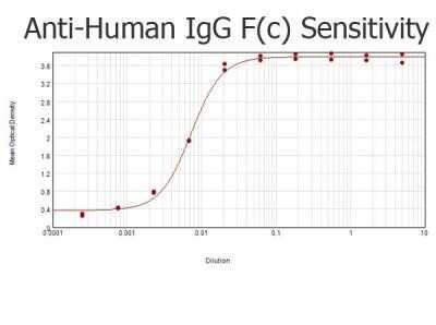 ELISA: Goat anti-Human IgG Fc Secondary Antibody (Pre-adsorbed) [NBP2-60678] - ELISA results of purified Goat anti-Human IgG F(c) Antibody Biotin conjugated tested against purified Human IgG F(c). Each well was coated in duplicate with 1.0 ug of Human IgG F(c).  The starting dilution of antibody was 5 ug/ml and the X-axis represents the Log10 of a 3-fold dilution. This titration is a 4-parameter curve fit where the IC50 is defined as the titer of the antibody.Assay performed using 3percent fish gelatin as blocking buffer, Streptavidin Peroxidase Conjugated and TMB substrate. Image using the Biotin form of this antibody.