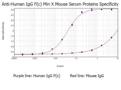 ELISA: Goat anti-Human IgG Fc Secondary Antibody (Pre-adsorbed) [NBP2-60678] - ELISA results of purified Goat anti-Human IgG Fc Secondary antibody (Pre-adsorbed) (min x Mouse serum proteins) tested against purified HumanIgG Fc. Each well was coated in duplicate with 1.0 ug of HumanIgG Fc as well as Mouse IgG. The starting dilution of antibody was 5ug/ml and the X-axis represents the Log10 of a 3-fold dilution. This titration is a 4-parameter curve fit where the IC50 is defined as the titer of the antibody. Assay performed using 3% fish gelatin as blocking buffer, Donkey anti-Goat IgG Antibody Peroxidase Conjugated (Min X Ch GP Ham Hs Ms Rb & Rt Serum Proteins) and TMB substrate.