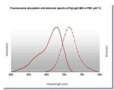 Fluorophore-linked immunosorbent assay: Goat anti-Human IgG (H+L) Secondary Antibody [DyLight 680] (Pre-adsorbed) [NBP1-72867]