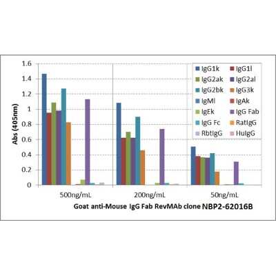 ELISA: IgG F(ab) Antibody (RMG05) [Biotin] [NBP2-62016B] - ELISA of mouse immunoglobulins shows NBP2-62016B reacts to the Fab region of mouse IgG1, IgG2a, IgG2b, and IgG3; no cross reactivity with IgM, IgA, IgE, human IgG, rat IgG, and rabbit IgG. The plate was coated with different immunoglobulins. NBP2-62016B was used as the primary antibody. An alkaline phosphatase conjugated anti-goat IgG as the secondary antibody.