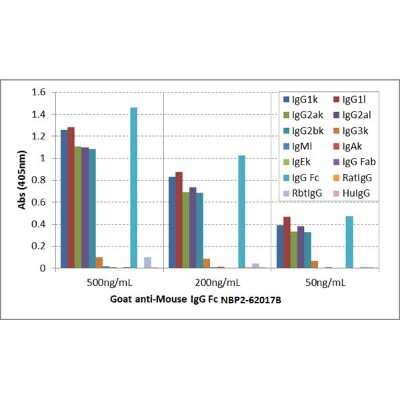 ELISA: IgG Fc Antibody (RMG06) [Biotin] [NBP2-62017B] - ELISA of mouse immunoglobulins shows NBP2-62017B reacts to the Fc region of mouse IgG1, IgG2a, and IgG2b, and very slightly to IgG3; no cross reactivity with IgM, IgA, IgE, human IgG, rat IgG, and rabbit IgG. The plate was coated with different immunoglobulins. NBP2-62017B was used as the primary antibody. An alkaline phosphatase conjugated anti-goat IgG as the secondary antibody.