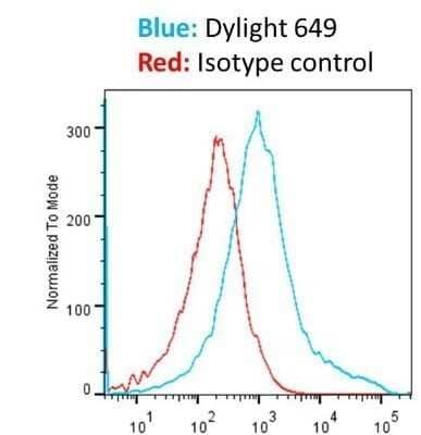 Flow Cytometry: Goat anti-Mouse IgG Fc Secondary Antibody (Pre-adsorbed) [NBP2-61925] - Analysis of human osteosarcoma cells using goat anti-mouse DyLight 649 conjugated secondary antibody. Image from verified customer review. Image from the DyLight 650 version of this antibody.