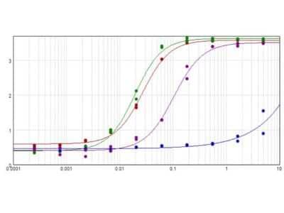 ELISA: Goat anti-Rabbit IgG Fc Secondary Antibody (Pre-adsorbed) [NBP2-60663] - ELISA results of purified Goat anti-Rabbit IgG Fc Secondary antibody (Pre-adsorbed) tested against purified RabbitIgG Fc (Red Line), Rabbit IgG (Green Line), and Human IgG (Blue Line). Each well was coated in duplicate with 1.0 ug of antigen RabbitIgG Fc, Rabbit IgG, and Human IgG. The starting dilution of antibody was 5ug/ml and the X-axis represents the Log10 of a 3-fold dilution. This titration is a 4-parameter curve fit where the IC50 is defined as the titer of the antibody. Assay performed using Blocking buffer, Donkey Anti-Goat IgG HRP, and TMB substrate.