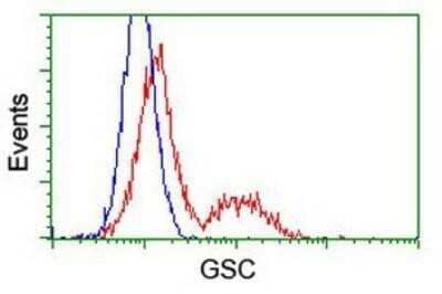 Flow Cytometry: Goosecoid Antibody (OTI1D7) - Azide and BSA Free [NBP2-72409] - HEK293T cells transfected with either overexpression plasmid (Red) or empty vector control plasmid (Blue) were immunostaining by anti-GSC antibody, and then analyzed by flow cytometry.