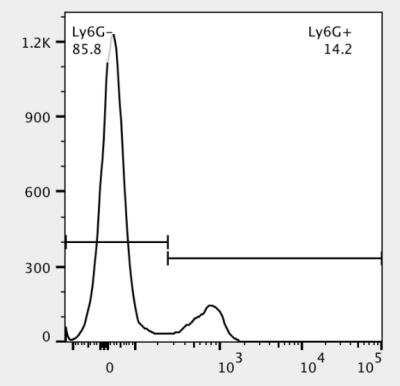 Flow Cytometry: Gr-1/Ly-6G Antibody (1A8) [FITC] [NBP2-53131F] - Cells were pre-gated with live/dead and FSC-A/W to exclude dead cells and cell doublets. The single cell suspension was isolated from a spleen of an IL1-R KO (knockout) mouse and stained with the FITC-Conjugated CD45R antibody (1:100) for 30 minutes. Cells were analyzed by flow cytometer. This KO validation image was submitted via customer review. 