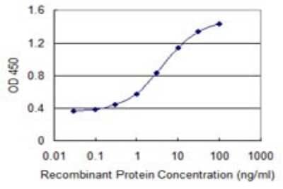 Sandwich ELISA: Grancalcin Antibody (2F5) [H00025801-M01] - Detection limit for recombinant GST tagged GCA is 0.03 ng/ml as a capture antibody.