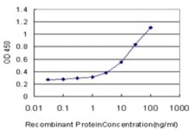 Sandwich ELISA: Granulin Antibody (1F5) [H00002896-M01] - Detection limit for recombinant GST tagged GRN is approximately 1ng/ml as a capture antibody.