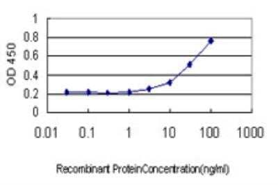 ELISA: Gremlin 1 Antibody (4C2) [H00026585-M04] - Detection limit for recombinant GST tagged GREM1 is approximately 3ng/ml as a capture antibody.