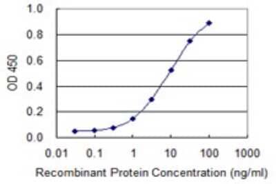 Sandwich ELISA: Growth Hormone 2 Antibody (1D10) [H00002689-M02] - Detection limit for recombinant GST tagged GH2 is 0.3 ng/ml as a capture antibody.