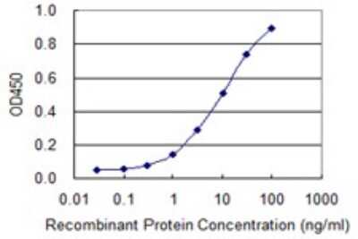 Sandwich ELISA: Growth Hormone 2 Antibody (1E11) [H00002689-M01] - Detection limit for recombinant GST tagged GH2 is 0.3 ng/ml as a capture antibody.