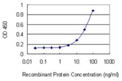 Sandwich ELISA: Guanine deaminase Antibody (1D5) [H00009615-M01] - Detection limit for recombinant GST tagged GDA is 1 ng/ml as a capture antibody.