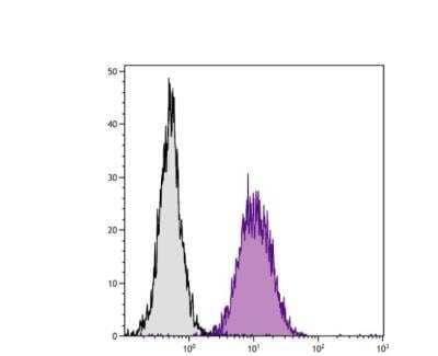 Flow Cytometry: H-2Db Antibody (27-11-13S) [FITC] [NBP1-28190] - BALB/c mouse splenocytes were stained with Mouse Anti-Mouse H-2DB-Biot NBP1-28190.