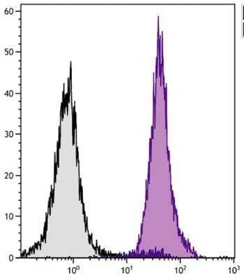 Flow Cytometry: H-2Db Antibody (27-11-13S) [NBP1-28189] - BALB/c mouse splenocytes were stained with Mouse Anti-Mouse H-2Db-UNLB followed by Goat Anti-Mouse IgG2a, Human ads-PE. 