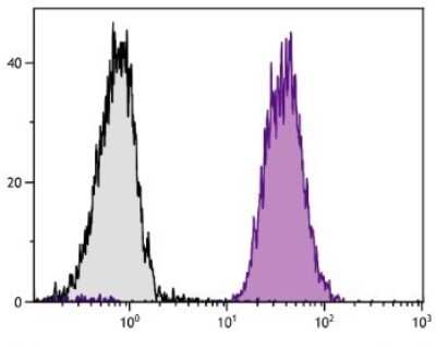 Flow Cytometry: H-2Dd Antibody (34-5-8S) [Biotin] [NBP1-28187] - Analysis of DBA/2 splenocytes.