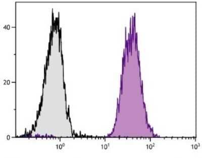 Flow Cytometry: H-2Dd Antibody (34-5-8S) [PE] [NBP1-28188] - Analysis of DBA/2 splenocytes.