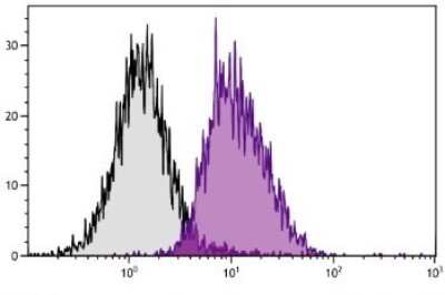 Flow Cytometry: H-2Dk Antibody (15-5-5S) [FITC] [NBP1-28194] - Analysis of C3H/He splenocytes.
