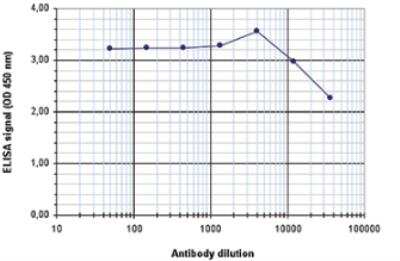 ELISA: H2AZ Antibody [NBP2-54618] - To determine the titer of the antibody, an ELISA was performed using a serial dilution of the antibody against H2A.Z. The antigen used was a peptide containing the histone modification of interest. By plotting the absorbance against the antibody dilution, the titer of the antibody was estimated to be 1:87,500.