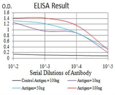 ELISA: H4/n Antibody (7A2E10) [NBP2-52489] - Black line: Control Antigen (100 ng); Purple line: Antigen(10ng); Blue line: Antigen (50 ng); Red line: Antigen (100 ng).