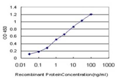 Sandwich ELISA: HABP1/C1QBP/GC1q R Antibody (1F3) [H00000708-M01] - Detection limit for recombinant GST tagged C1QBP is approximately 0.03ng/ml as a capture antibody.