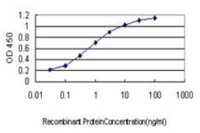 Sandwich ELISA: HARS Antibody (1C8) [H00003035-M01] - Detection limit for recombinant GST tagged HARS is approximately 0.03ng/ml as a capture antibody.