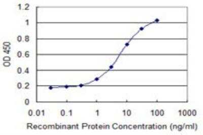 ELISA HBLD2 Antibody (1A11) - Azide and BSA Free