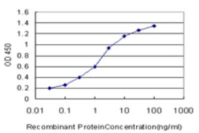 Sandwich ELISA HBLD2 Antibody (2E9) - Azide and BSA Free