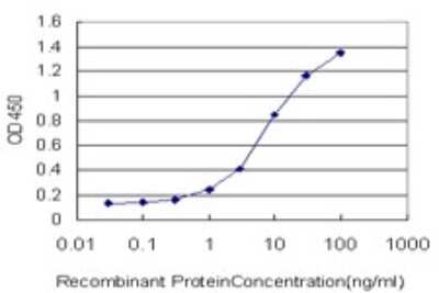 Sandwich ELISA: HDAC1 Antibody (3E1) [H00003065-M02] - Detection limit for recombinant GST tagged HDAC1 is approximately 0.1ng/ml as a capture antibody.