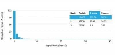 Protein Array: HDAC3 Antibody (PCRP-HDAC3-2D4) - Azide and BSA Free [NBP3-14060] - Analysis of Protein Array containing more than 19,000 full-length human proteins using HDAC3 Antibody (PCRP-HDAC3-2D4).