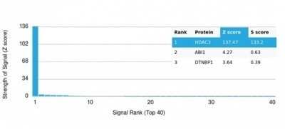 Protein Array: HDAC3 Antibody (PCRP-HDAC3-3C9) - Azide and BSA Free [NBP3-14061] - Analysis of Protein Array containing more than 19,000 full-length human proteins using HDAC3 Antibody (PCRP-HDAC3-3C9).