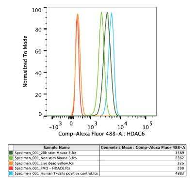 Flow Cytometry: HDAC6 Antibody [Alexa Fluor (R) 488] [NBP1-78981AF488] - Flow cytometry on isolated T-cells.  Image from verified customer review (Andressa Sodre, Moffitt Cancer Center).