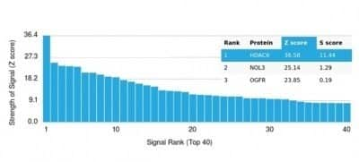 Protein Array: HDAC6 Antibody (PCRP-HDAC6-1A4) - Azide and BSA Free [NBP3-14206] - Analysis of Protein Array containing more than 19,000 full-length human proteins using HDAC6 Antibody (PCRP-HDAC6-1A4).