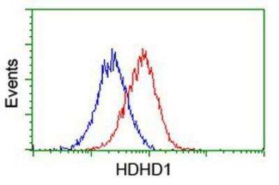 Flow Cytometry: HDHD1A Antibody (7A2) [NBP2-00487] - Analysis of Hela cells, using anti-HDHD1A antibody, (Red), compared to a nonspecific negative control antibody (Blue).