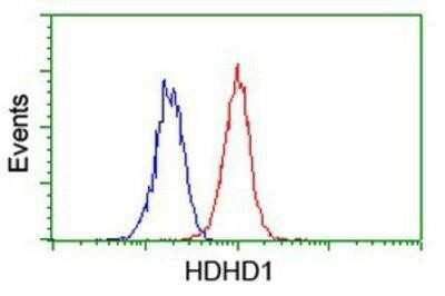 Flow Cytometry: HDHD1A Antibody (OTI7A2) - Azide and BSA Free [NBP2-71368] - Analysis of Jurkat cells, using anti-HDHD1A antibody, (Red), compared to a nonspecific negative control antibody (Blue).