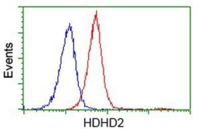 Flow Cytometry: HDHD2 Antibody (OTI4G3) - Azide and BSA Free [NBP2-72259] - Analysis of Jurkat cells, using anti-HDHD2 antibody, (Red), compared to a nonspecific negative control antibody (Blue).