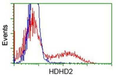 Flow Cytometry: HDHD2 Antibody (OTI4G3) - Azide and BSA Free [NBP2-72259] - HEK293T cells transfected with either overexpression plasmid (Red) or empty vector control plasmid (Blue) were immunostaining by anti-HDHD2 antibody, and then analyzed by flow cytometry.