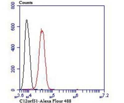 Flow Cytometry: HECTD4 Antibody (A2-F5-F10) [NBP2-75411] - Analysis of SH-SY5Y cells with C12orf51 antibody at 1/100 dilution (red) compared with an unlabelled control (cells without incubation with primary antibody; black).