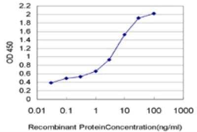 ELISA: HELZ Antibody (1C11) [H00009931-M04] - Detection limit for recombinant GST tagged HELZ is approximately 0.03ng/ml as a capture antibody.