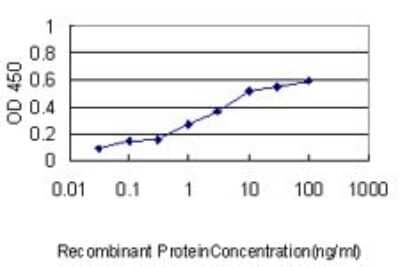 Sandwich ELISA: HERPUD1 Antibody (3E10) [H00009709-M01] - Detection limit for recombinant GST tagged HERPUD1 is approximately 0.3ng/ml as a capture antibody.