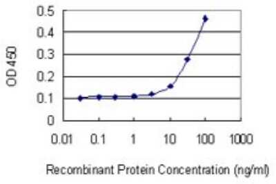 Sandwich ELISA: HEY2 Antibody (2B10) [H00023493-M02] - Detection limit for recombinant GST tagged HEY2 is 3 ng/ml as a capture antibody.