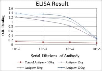 ELISA: HFE Antibody (3F1) [NBP2-37555] - Red: Control Antigen (100ng); Purple: Antigen (10ng); Green: Antigen (50ng); Blue: Antigen (100ng);