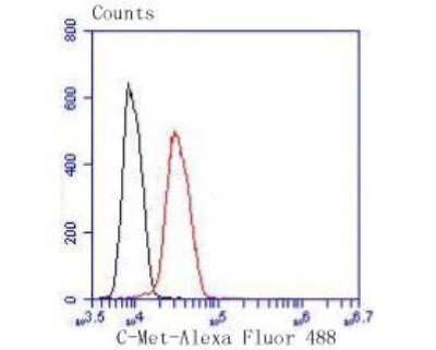 Flow Cytometry: HGFR/c-MET Antibody (SJ19-05) [NBP2-67412] - Flow cytometric analysis of HGFR/c-MET was done on Hela cells. The cells were fixed, permeabilized and stained with the primary antibody (1/50) (red). After incubation of the primary antibody at room temperature for an hour, the cells were stained with a Alexa Fluor 488-conjugated Goat anti-Rabbit IgG Secondary antibody at 1/1000 dilution for 30 minutes. Unlabeled sample was used as a control (cells without incubation with primary antibody; black).