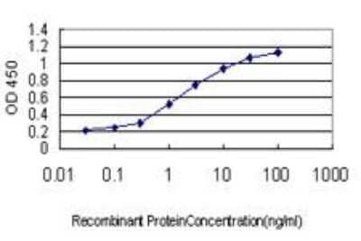 ELISA: HHEX Antibody (1A2) [H00003087-M03] - Detection limit for recombinant GST tagged HHEX is approximately 0.1ng/ml as a capture antibody.