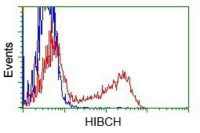 Flow Cytometry HIBCH Antibody (OTI3H5)