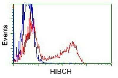 Flow Cytometry: HIBCH Antibody (3H5) [NBP2-02673] - HEK293T cells transfected with either overexpression plasmid (Red) or empty vector control plasmid (Blue) were immunostained by anti-HIBCH antibody, and then analyzed by flow cytometry.