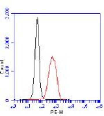 Flow Cytometry: HIF Prolyl Hydroxylases Antibody Pack [NB100-903PHD] - Detection of PHD2. 1 million Jurkat cells were fixed, permeabilized, and stained with 3.0 ug/mL anti-PHD2 NB100-137 in a 150 uL reaction. Isotype control (black), anti-MLL1 (red).