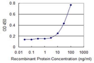 Sandwich ELISA: HIPK1 Antibody (1D6) [H00204851-M06] - Detection limit for recombinant GST tagged HIPK1 is 3 ng/ml as a capture antibody.