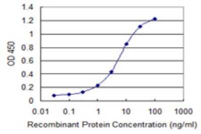 Sandwich ELISA: HIPK1 Antibody (4D5) [H00204851-M05] - Detection limit for recombinant GST tagged HIPK1 is 0.1 ng/ml as a capture antibody.