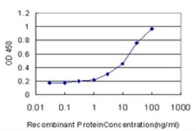 ELISA: HIPK1 Antibody (4E1) [H00204851-M07] - Detection limit for recombinant GST tagged HIPK1 is approximately 0.3ng/ml as a capture antibody.