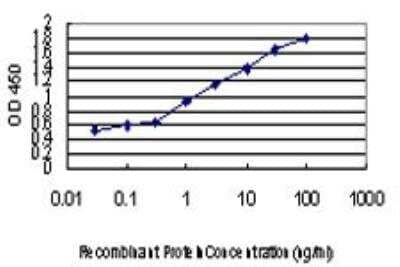 ELISA: HIPK2 Antibody (1F10) [H00028996-M03] - Detection limit for recombinant GST tagged HIPK2 is approximately 0.1ng/ml as a capture antibody.