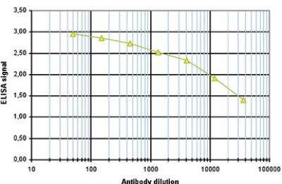 ELISA: HIST1H2AD Antibody [NBP3-11870] - To determine the titer of the antibody, an ELISA was performed using a serial dilution of NBP3-11870 in antigen coated wells. By plotting the absorbance against the antibody dilution, the titer of the antibody was estimated to be 1:32,500.